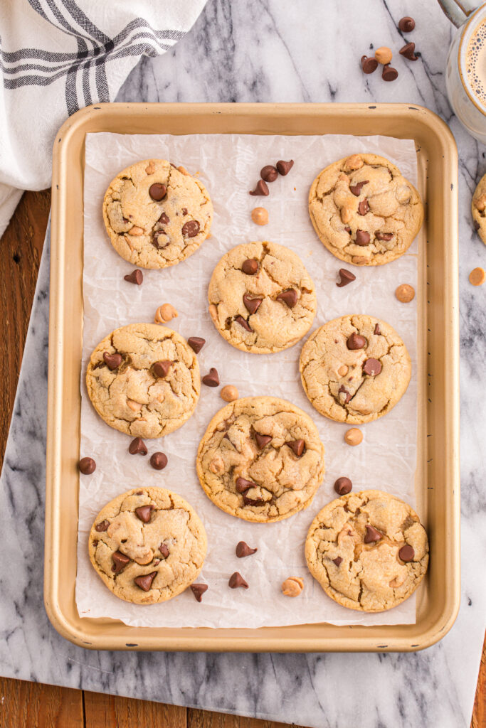 chocolate and peanut butter chip cookies