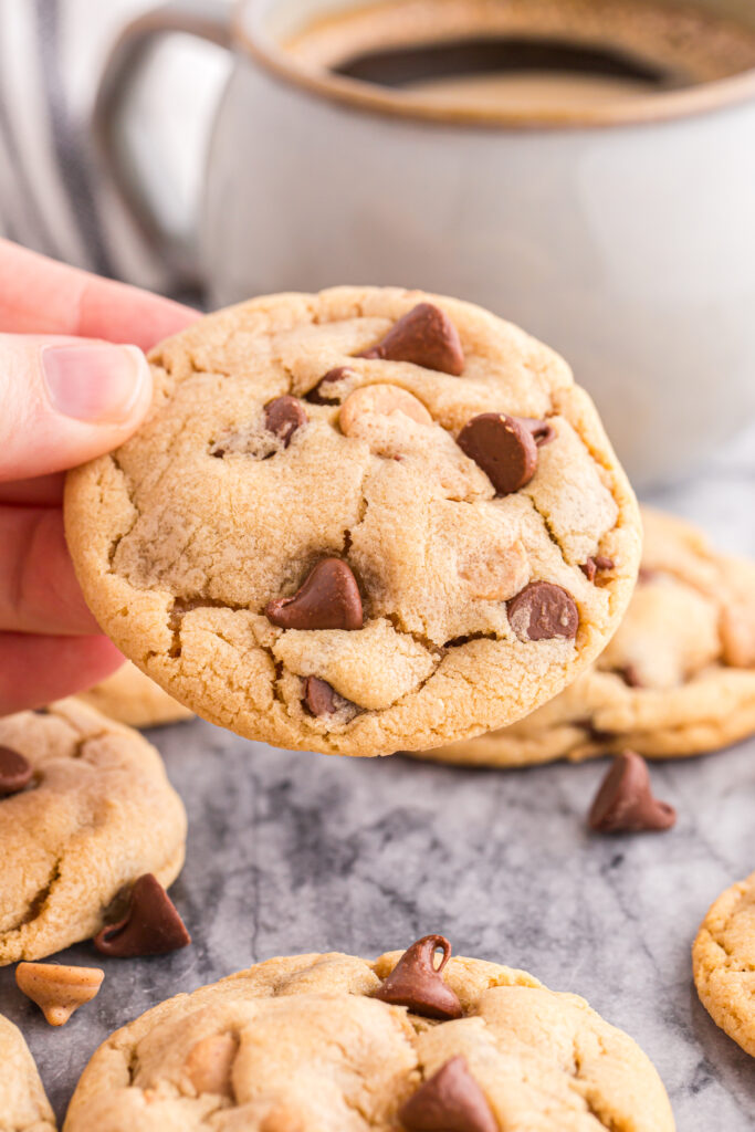 chocolate and peanut butter chip cookies