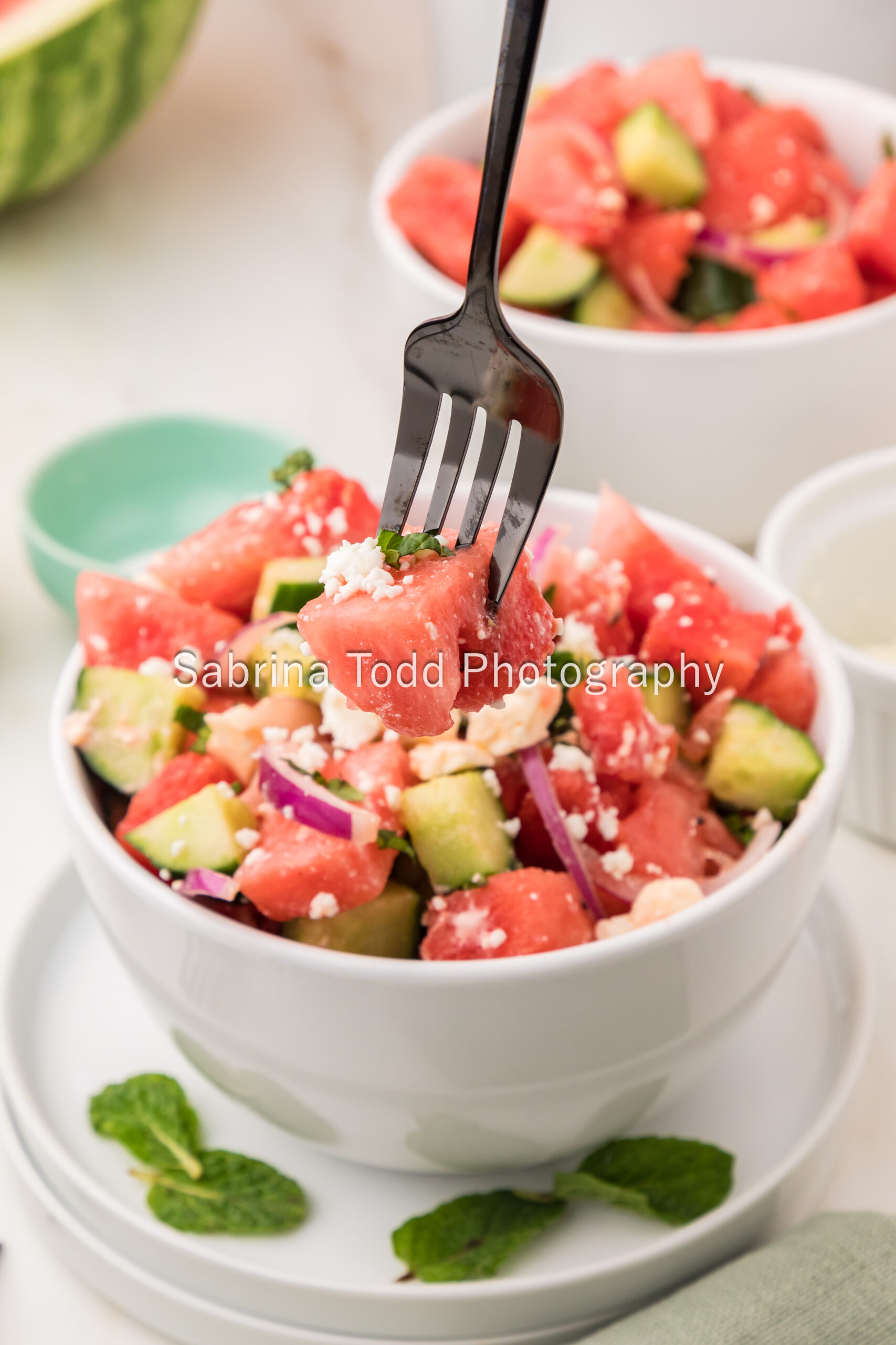 Watermelon Feta Salad - PLR Recipe