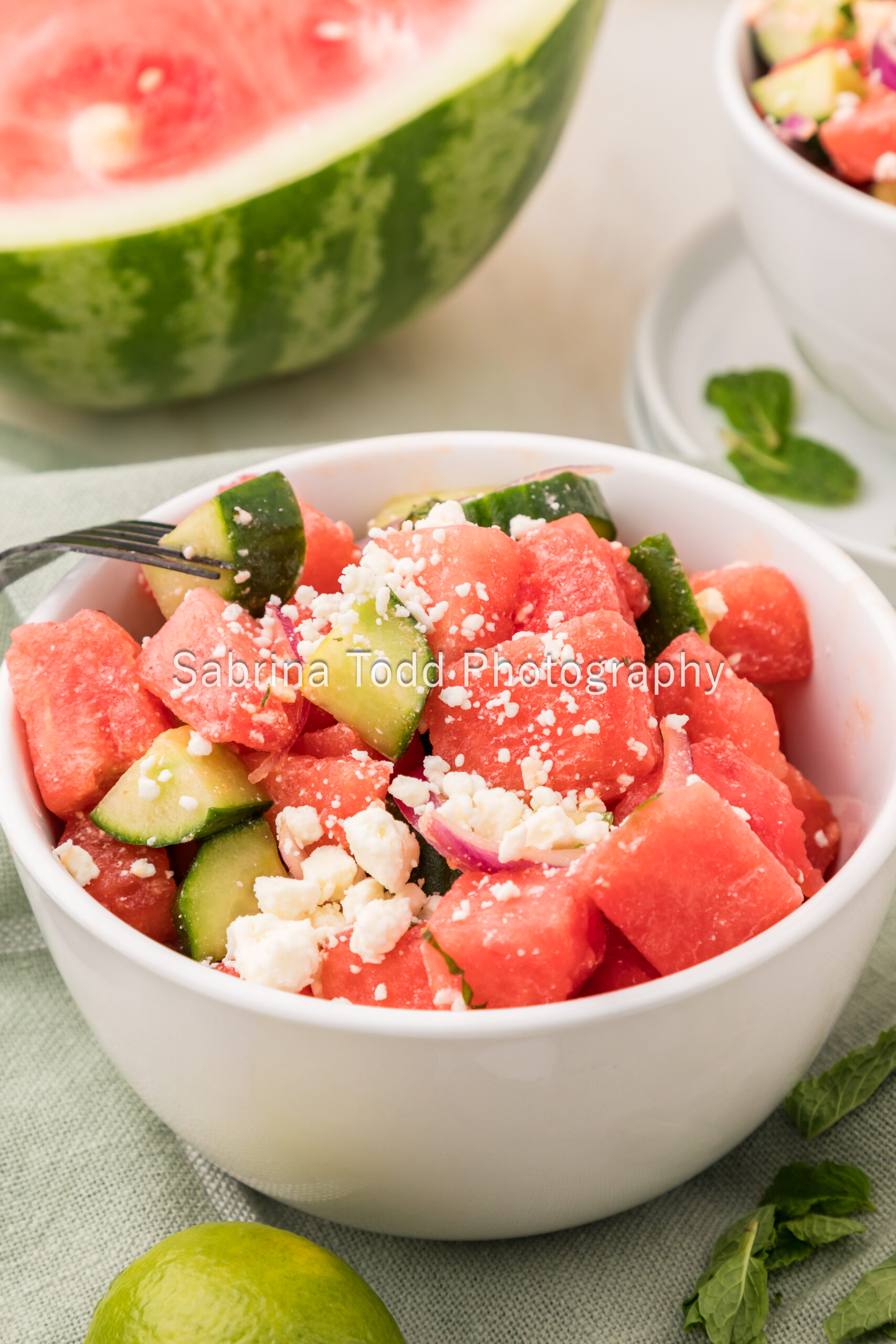 Watermelon Feta Salad - PLR Recipe - Image 15