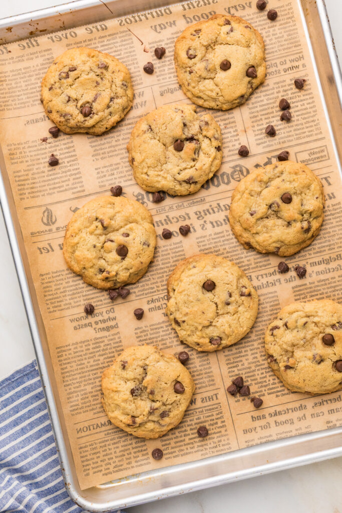 chocolate chip cookie on a baking tray